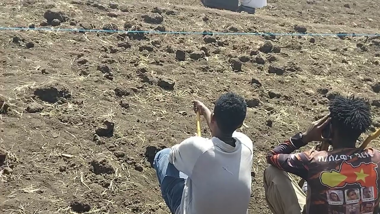 #ግድል ማርያም ደብረ ሲና መኾኒ #subscribe_share_like (@RayaTV-21)