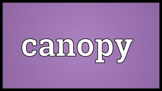 Canopy Meaning