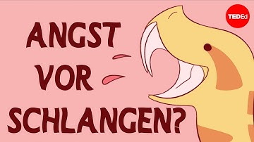 Schau dir das an, wenn du Angst vor Schlangen hast - Andrew Whitworth