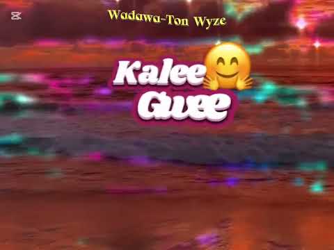 WADAWA TON WYZE Official Lyrics Video Out