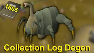 I Have The Rarest Pet In Runescape!
