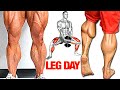 The Perfect Leg Workout to Build Strong Legs