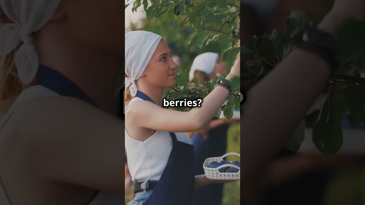 Discover South Africa's Juicy Fruits!