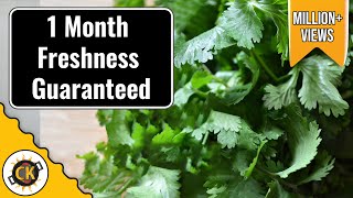 Cilantro Saving Tip. How to keep Coriander Fresh for long in Fridge by Chawla's Kitchen