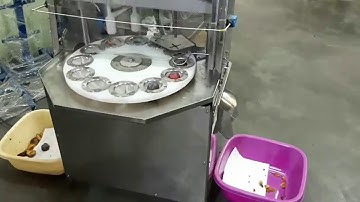 Fruit pitting machine. Pitting machine for plums, apricots