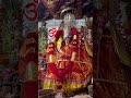 Colour changing Idol of Durga