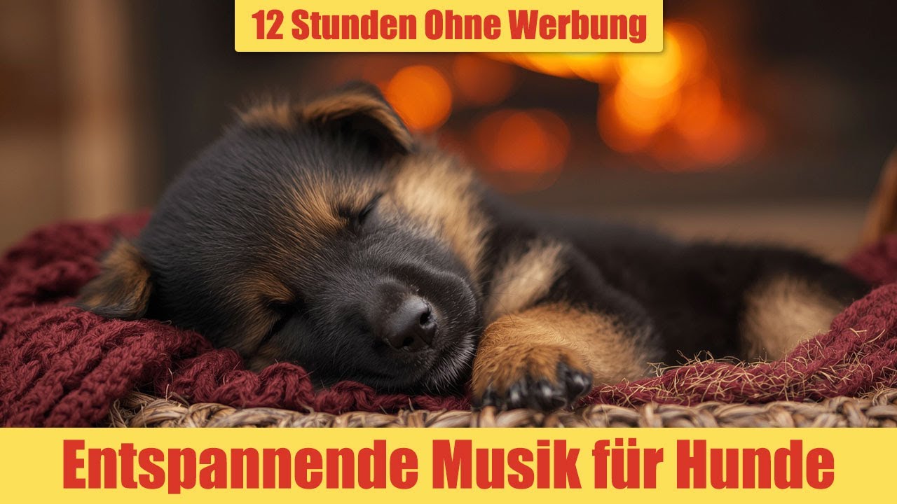 Beruhigende Musik für Hunde - 12 Stunden Ohne Werbung | Bei Gewitter & Feuerwerk_vol.6