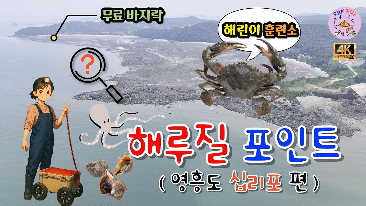 해루질 포인트 (십리포해수욕장) #해루질 #수도권 #영흥도 #포인트