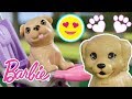 Лучшее из Барби: Щенки! | Barbie Россия 3+