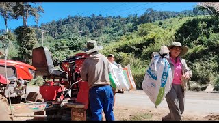 Thauj Wb Cov Nplej Lo Tso Ntawm Kev Ya No 22 11 2025