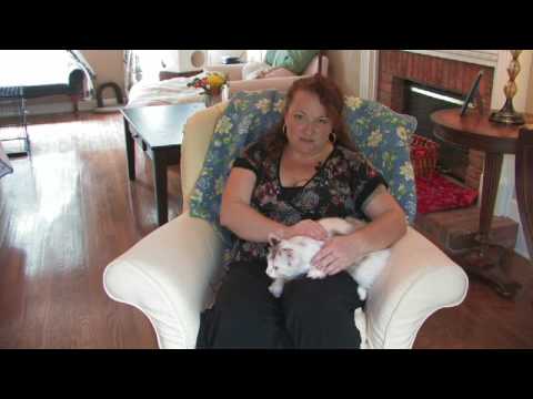 Cat Care : Which Cat Breed Is Right for You?
