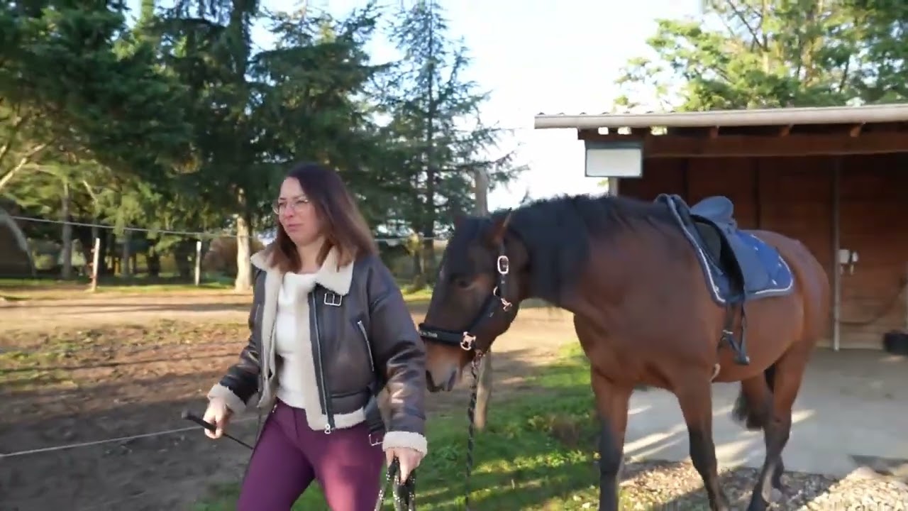 La beauté de la relation 💖🐴🧍‍♀️