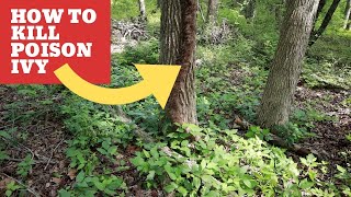 How to identify and kill poison ivy! And flying the drone in the woods! MCG video #16