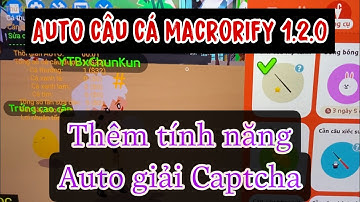 Cách auto câu cá bằng macrorify mới nhất | Auto giải captcha Macrorify Play Together | Chun Kun