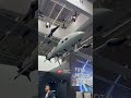 BlueBird Fixed Wing UAV Systems for Long Endurance Aerial Operations