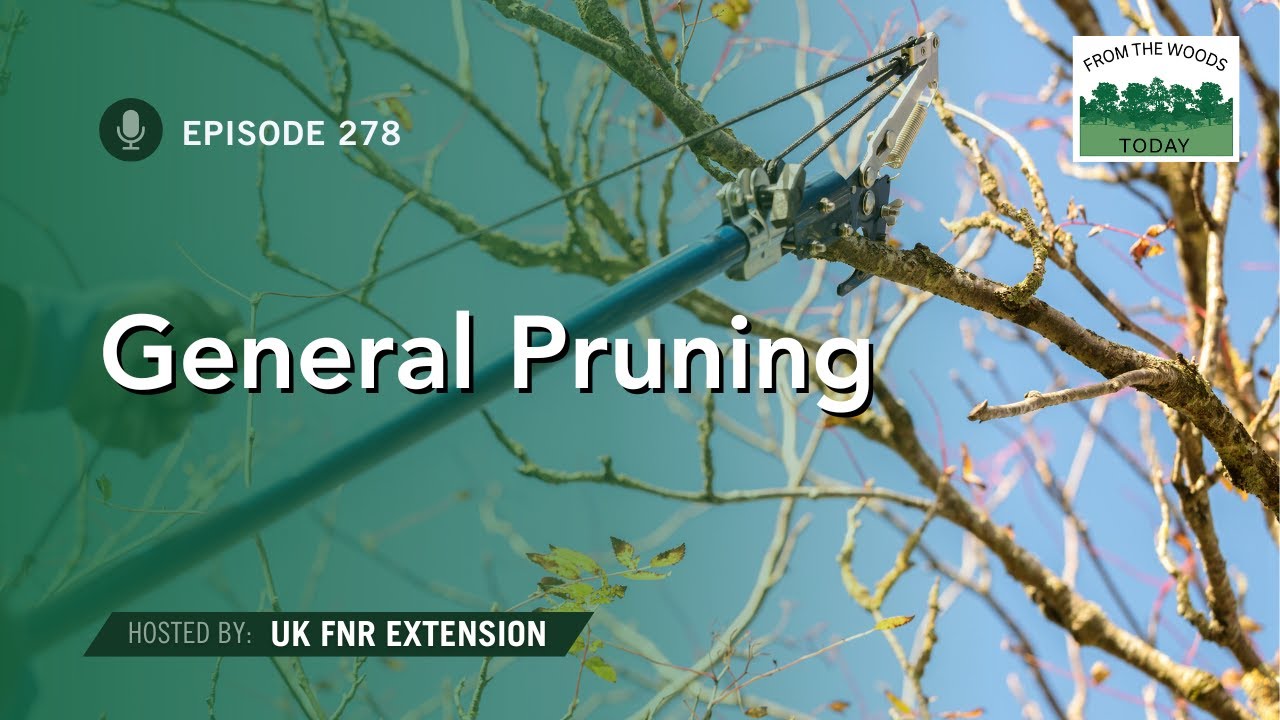 General Pruning - From the Woods Today - Episode 278
