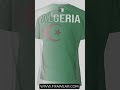 Sports Mesh T-shirt Algeria Flag For FIFA World Cup Soccer Football Tees 3D Printed Custom