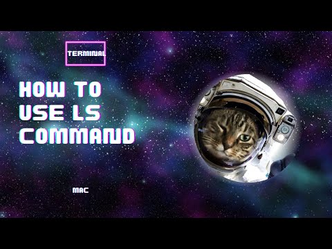 How to use command LS in the terminal on Mac