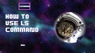 How to use command LS in the terminal on Mac