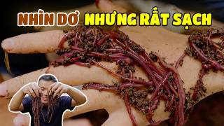 Top 6 CON VẬT ai cũng nghĩ là dơ nhưng lại rất sạch - Phần 1 (Viet/Engsub) | The Cod Show
