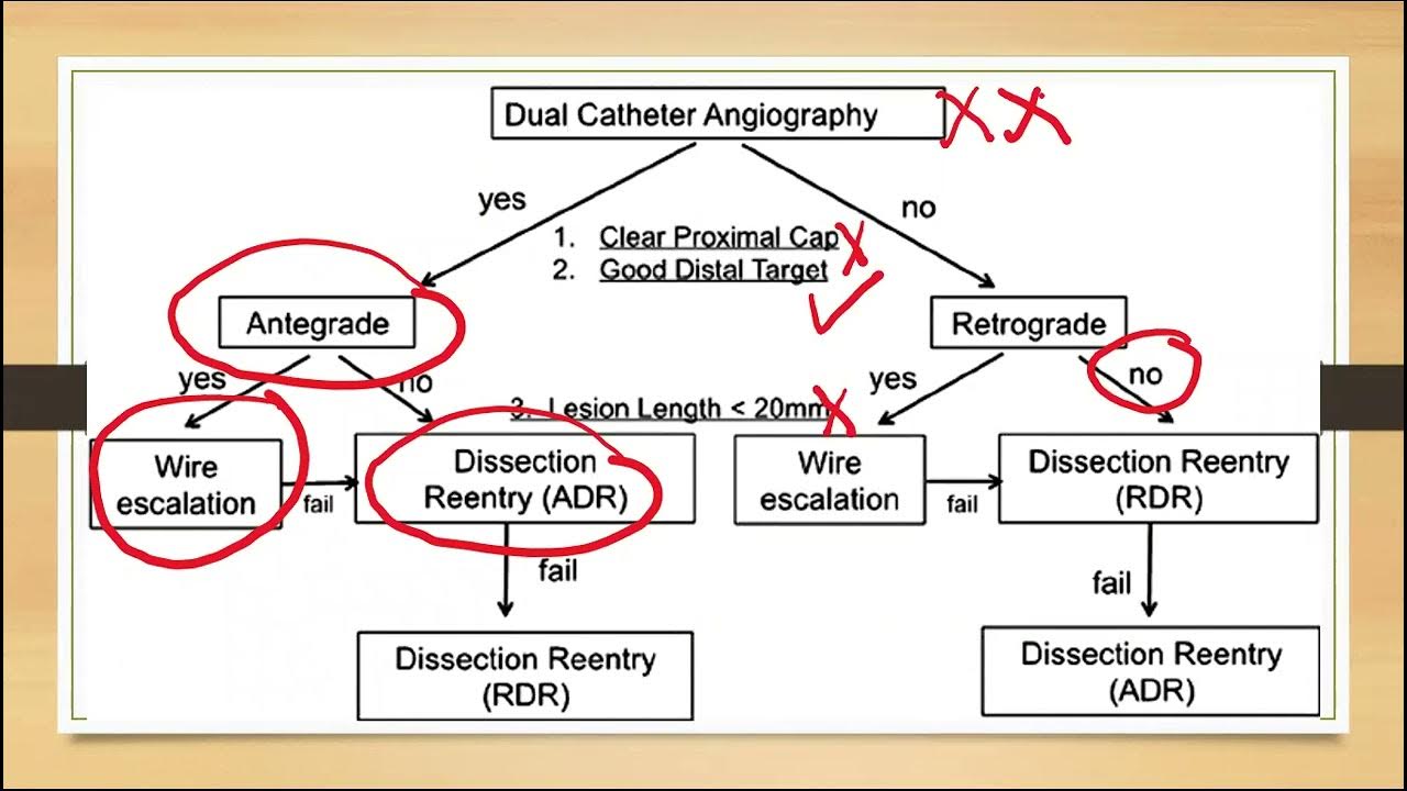 Post cath conference (22march2023) part 2 YouTube