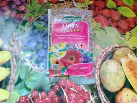 ОМУ Цветик. Для комнатных растений и не только. - YouTube