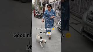 #BellaTheDog #EveningWalk #HappyPaws #PetLovers #DogsofYouTube #FurryFriends #EveningVibes #fypシ