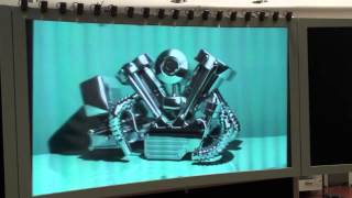 Automatic Geometric Calibration of Projector-based Light-field Displays.