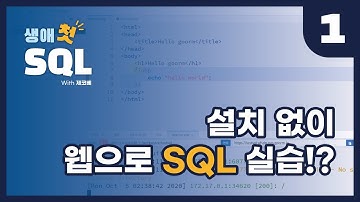 [생애 첫 SQL with 제코베] 01. 설치없이 웹으로 SQL을?! W3Schools에서 SQL 실습해보기!