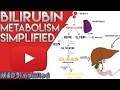 Bilirubin metabolism - YouTube