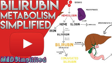 Metabolisme Bilirubin Disederhanakan