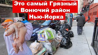 В Нью-Йорке Крысы, Грязь, Вонь. Залез на крышу Чайна-Таун и вот что увидел.