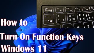 enable or disable function keys in windows 11 - how to