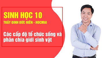 Bài giảng các cấp độ tổ chức sống - Sinh học lớp 10 |Thầy Đinh Đức Hiền - Khóa Học tốt 10
