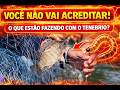 O QUE ESTÃO FAZENDO COM O TENÉBRIO ?