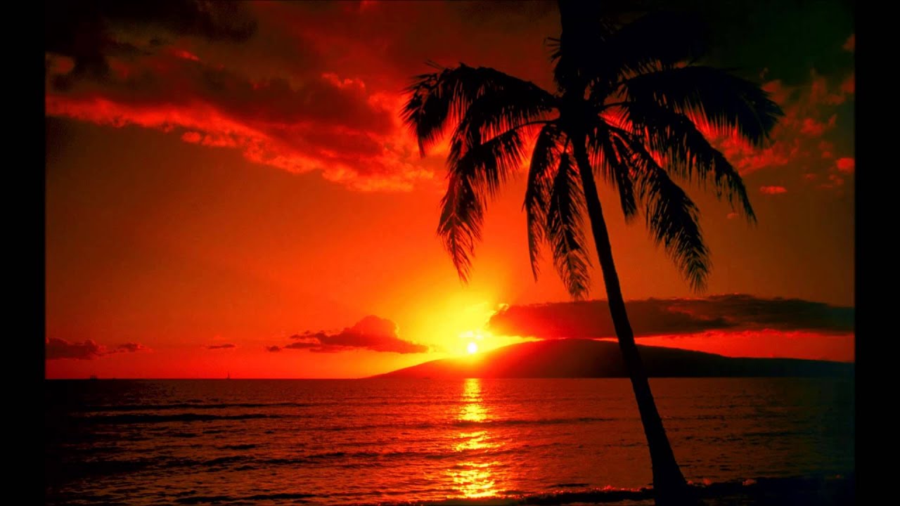 Jeff MusicMan - Last Night In Paradise - YouTube