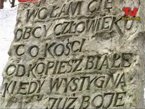 Jak Działa Mechanizm Wsparcia w Spinoloco?