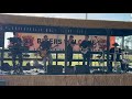 Synchronicity II Police cover 