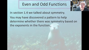 19. Even and Odd Functions and Symmetry (5:34)