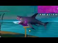 a shark won the game bro 😭