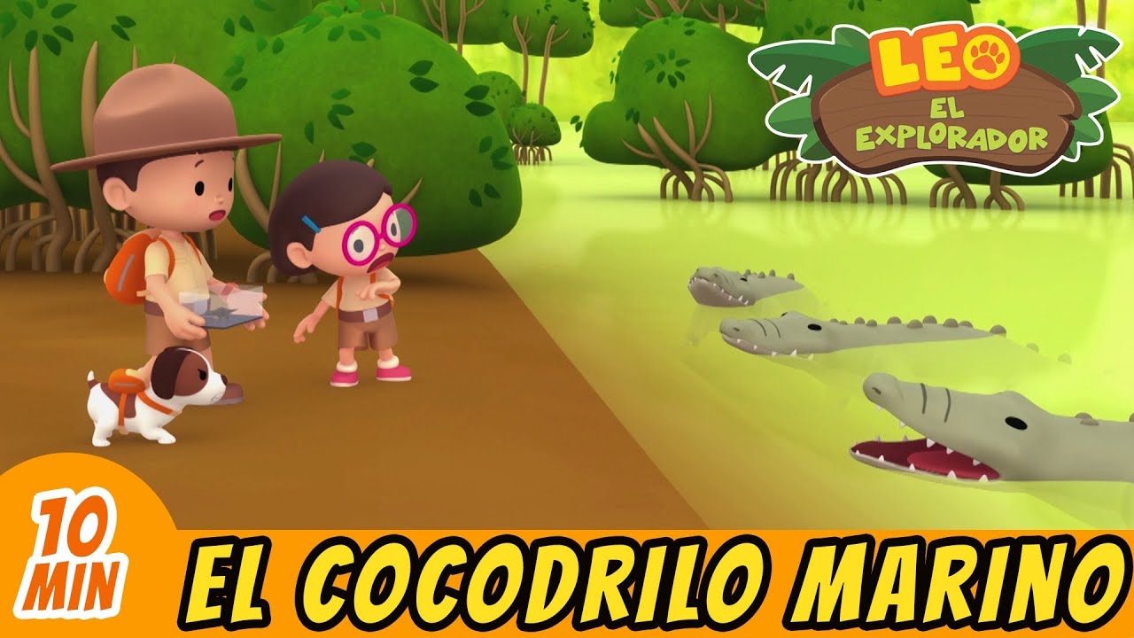 El Cocodrilo Marino | ¡Ayuda Al Cocodrilo Bebé A Llegar A Casa! | Episodio  Completo | Leo Explorador - YouTube