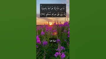 آية "إني توكلت  على الله ربي وربكم ما من دابة  إلا هو آخذ بناصيتها" فقط من سورة هود
