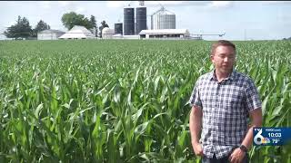 Farmers concerned about unusually high rainfall in spring, now concerned about heat wave