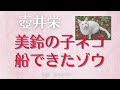 【朗読】壺井栄「美鈴の子ネコ 」 朗読・あべよしみ