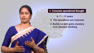 Module 4 Video 2   Self learning Video School Counseling-Piaget