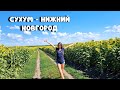 ДОРОГА ДОМОЙ🔥 Сухум - Нижний Новгород/ Кафе "Ложка за маму"