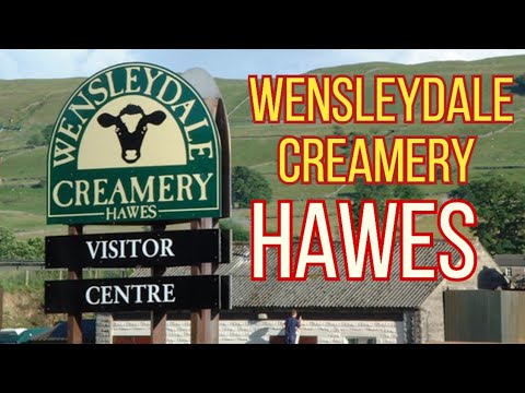 Wensleydale Creamery, Hawes.  Cheese tasting and a great tea room!