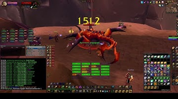 Turtle Wow - PUG AQ20 run - 25 May - paladin POV - no commentary