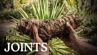 The Native American Joint Health Garden: 20 Healing Plants