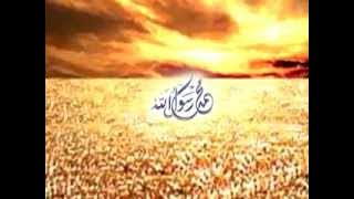 Surat Cinta Untuk Rasulullah